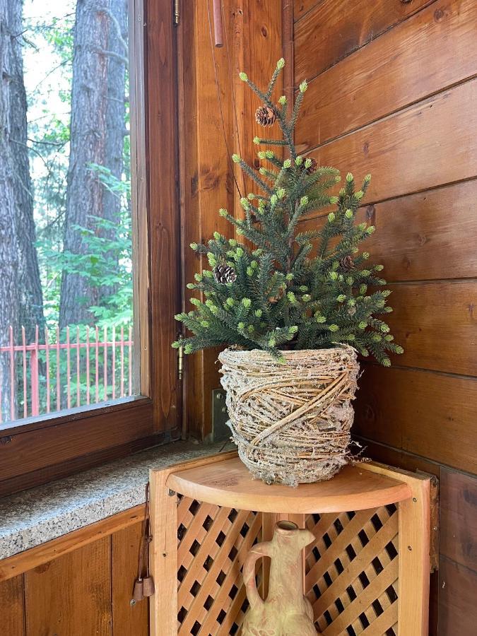 La Veranda Nella Neve - Камильятелло-Силано Экстерьер фото