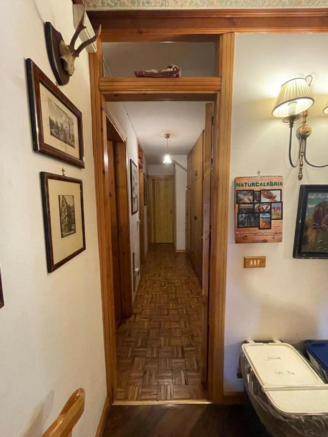 La Veranda Nella Neve - Камильятелло-Силано Экстерьер фото
